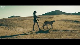                                         دندنها