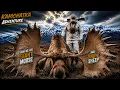 Kamchatka Adventure - Hunting Giant Moose Kamchatka Snow Sheep