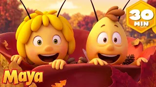 ¡Maya y Willy Exploran el Otoño! 🍂🐝 La Abeja Maya | Recopilación | Dibujos animados
