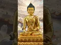Download Lagu #Shakyamuni Buddha Mantra, #Prayer To Shakyamuni #Buddha 💜🙏🏻🪷📿☸️ #SagaDawa #Fall  #spritual #love MP3