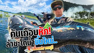 น้ำขึ้นใหม่ๆเลยรีบมา คิดว่าเข้าหมายคนแรกที่ไหนได้เรือวิ่งเต็มอ่าง โชคดีที่ยังเจอชะโดใหญ่กดคันแทบหัก