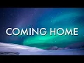 Download Lagu Coming Home TikTok Remix (Lyrics) - Skylar Grey