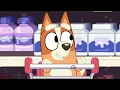 Bluey and Bingo Go Grocery Shopping 🛒 | Bluey | @disneyjr