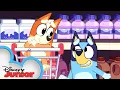 Download Lagu Bluey and Bingo Go Grocery Shopping 🛒 | Bluey | @disneyjr