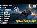 Beautiful Quran Before Sleep | Al-Fatiha,Ayatul Kursi,Surah Ar-Rahman, Al-Mulk, Yasin - By Alaa Aqel