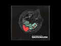Avett Brothers-Emotionalism