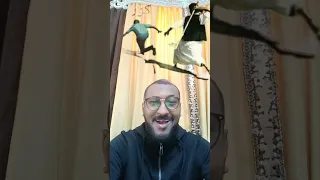 المناضل مهند الحسن نفس السيناريو لكن البلبوسي ما بيفهم 