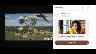 SWFL Bald Eagles 10 16 2025 16 48 