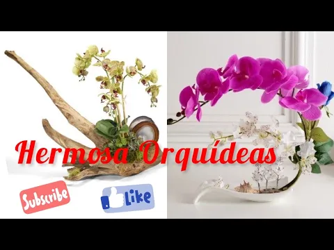 Download MP3 ORQUÍDEAS en base de tronco 🪵 y en floreros DIY arreglo floral