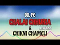 Download Lagu DIL PE CHLAI CHHURIA \u0026 CHIKNI CHAMELI [TERENDING TONE ] #trending 🔥 #9august