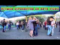 Bailes en la pulga de oakland california