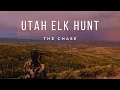 Utah Elk Hunt - The Chase