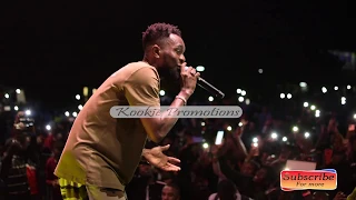 patoranking and fik fameica live performanc on the same stage
