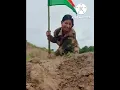 vande Mataram song no copyright Hindi song 🥰🥰