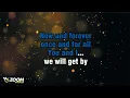 Jimmy Cliff - Now And Forever - Karaoke Version from Zoom Karaoke