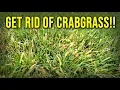 I Didn t Apply Pre-Emergent Now I Have Crabgrass NOW WHAT