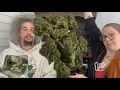 Ummm yummm J Day Review Banana Cooler a Hybrid 8th from Lifted 253 Farmacy
