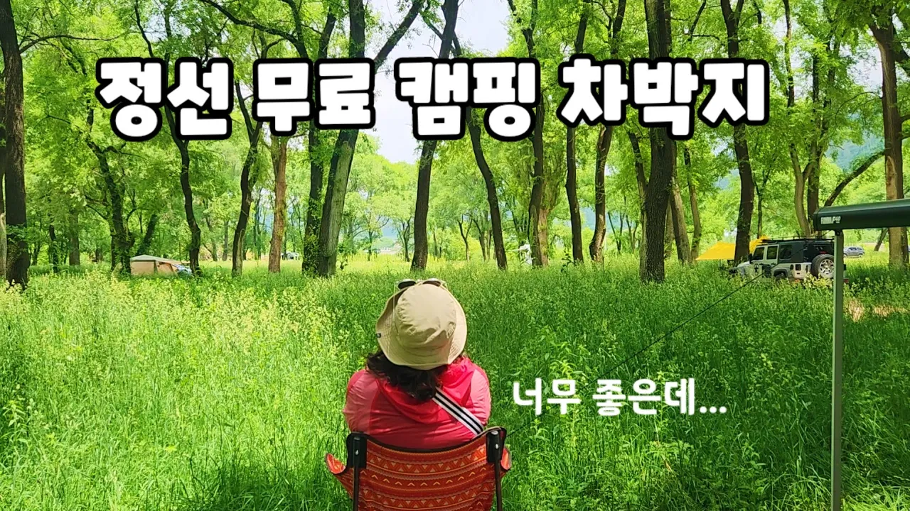 [ 정선차박 ] 💥정선 골지천 나무데크도 있는 노지캠핑차박지 ..숲이 너무 아름답다! ㅣ스타렉스캠핑카 サムネイル