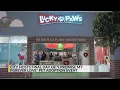 Fees waived at Albuquerque pet adoption event