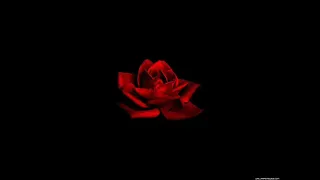 موسيقى الراقصه والسياسى 