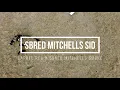 Mitchell s Sid - Forbes Working Dog Auction 2023