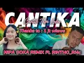 Download Lagu NIPA GOKA REMIX Ft RINTHO DOPO // LAGU PARTY RAKAT TIMUR 2024 // CANTIKA // CANTIK TAPI LUKA
