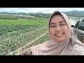 Download Lagu Ambil Sayur Labu Air Raksasa Gratissss Di Desa Huichang 🇨🇳 🤑