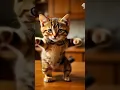 KITTEN Dance Party Like You've Never Seen Before! #cat #cute #catplay #catworld