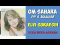 Download Lagu ELVI SUKAESIH. -  SUKA DUKA ASMARA