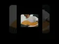Download Lagu (DPR) . Dewan Perampok rakyat