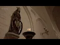 Bach - Sonata no. 1 in E-flat major BWV 525 - Zerer | Netherlands Bach Society