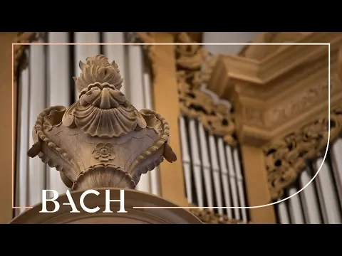 Bach - Sonata no. 1 in E-flat major BWV 525 - Zerer | Netherlands Bach Society