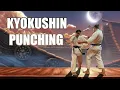 Kumite PUNCHES in Kyokushin Karate Basic Techniques