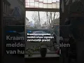 Lagu Kraamverzorgenden melden amper signalen van huiselijk geweld