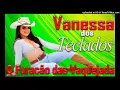 Download Lagu VANESSA DOS TECLADOS O FURACÃO DAS VAQUEJADAS 2021