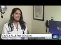 Seasonal allergies impact Chicago-area residents earlier with unseasonably warm weather
