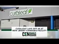 Curaleaf Lays Off 49 at New Jersey Cannabis Facility