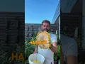 Download Lagu Grow huge Sunflowers in pots \u0026 enjoy harvesting the seeds 🌻 #flowers #gardening #sunflower