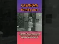 Download Lagu Casanova - Burning Love || Lyrics