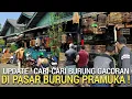 Download Lagu AKHIRNYA KETEMU ! KIOS BURUNG GACORAN HARGA SAMPAI JADI PASAR BURUNG PRAMUKA HARI INI