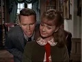 Download Lagu Tammy Zand The Millionaire (1967) l Family Classics Debbie Watson