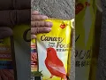 Download Lagu Canary Food Song Toner Gemengde Zaden #shorts