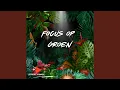 Download Lagu Focus op Groen
