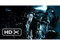 Video di Alien (3/5) Movie CLIP - The Alien Appears (1979) HD