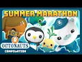 Download Lagu @Octonauts - ☀️ MEGA Summer Marathon! 🤿 | 4 Hours+ Full Episodes Marathon | Explore the Ocean
