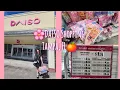 Lets Check Out DAISO together Tampa FL Trip