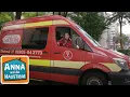 Download Lagu Ein Tag bei der Tierrettung | Information für Kinder | Anna und die Haustiere | SPEZIAL