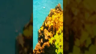 اسماعليه   الف تحيه سقفه قويه لاسماعليه دندنها
