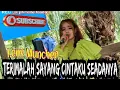Download Lagu Lagu Malaysia terimalah sayang cintaku seadanya.artis: Leny Munchen. DJ Dedek live jaya musik