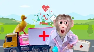 When baby monkey Obi becomes a doctor